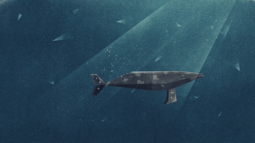 10394 98c195a large #whale #illustration #fiftytwonetwork