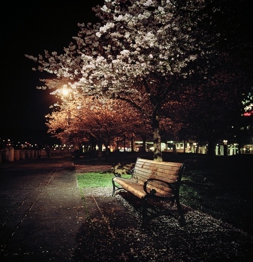 Photography by Danielle Hughson #photography