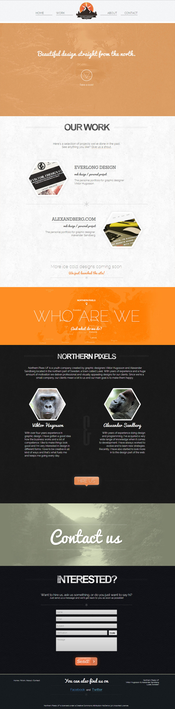 Northern Pixels site by Everlong Design #branding #site #northern #onepage #identity #monkeys #web #pixels