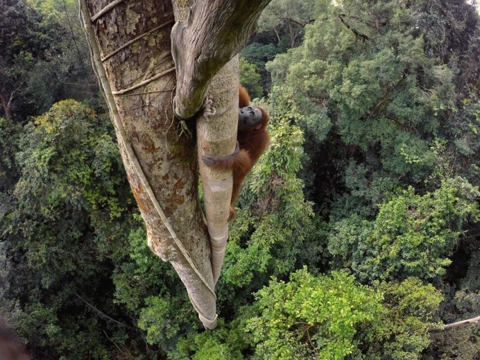 National Geographic Unveils Its 50 Most Beautiful Travel Photos Of 2016's
