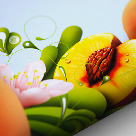 Probar Fruition #illustration