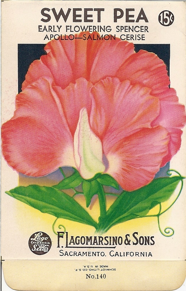 sweet pea - vintage seed packets