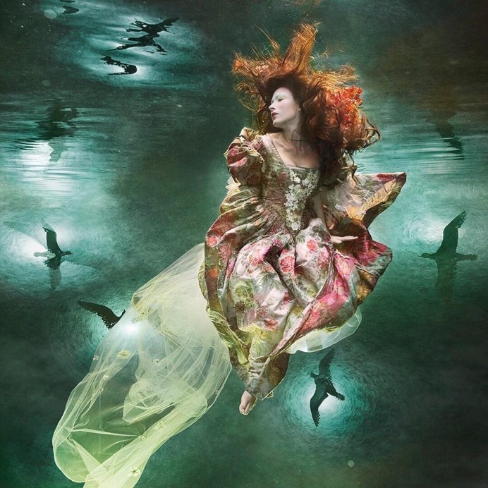 Breathtaking Underwater Photography by Zena Holloway