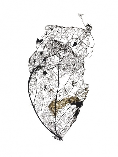 At This Rate « Studio8 Design #leaf #close #organic #up #macro #detail