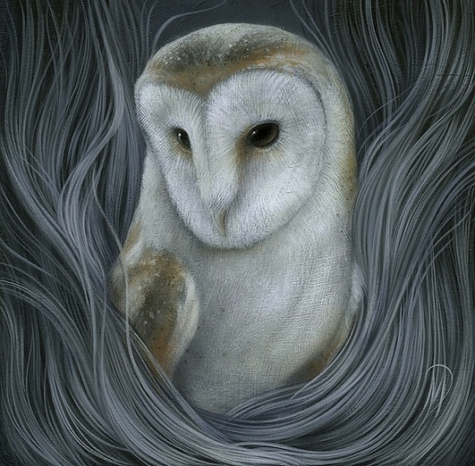 All sizes | Nocturne | Flickr - Photo Sharing! #may #dan #owl