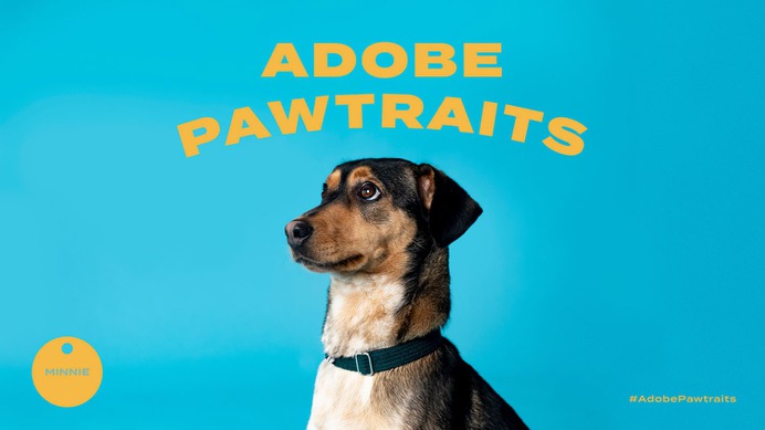Adobe Pawtraits - Mindsparkle Mag For The People & ilana grace designed this beautiful project named Adobe Pawtraits. #logo #packaging #identity #branding #design #color #photography #graphic #design #gallery #blog #project #mindsparkle #mag #beautiful #portfolio #designer