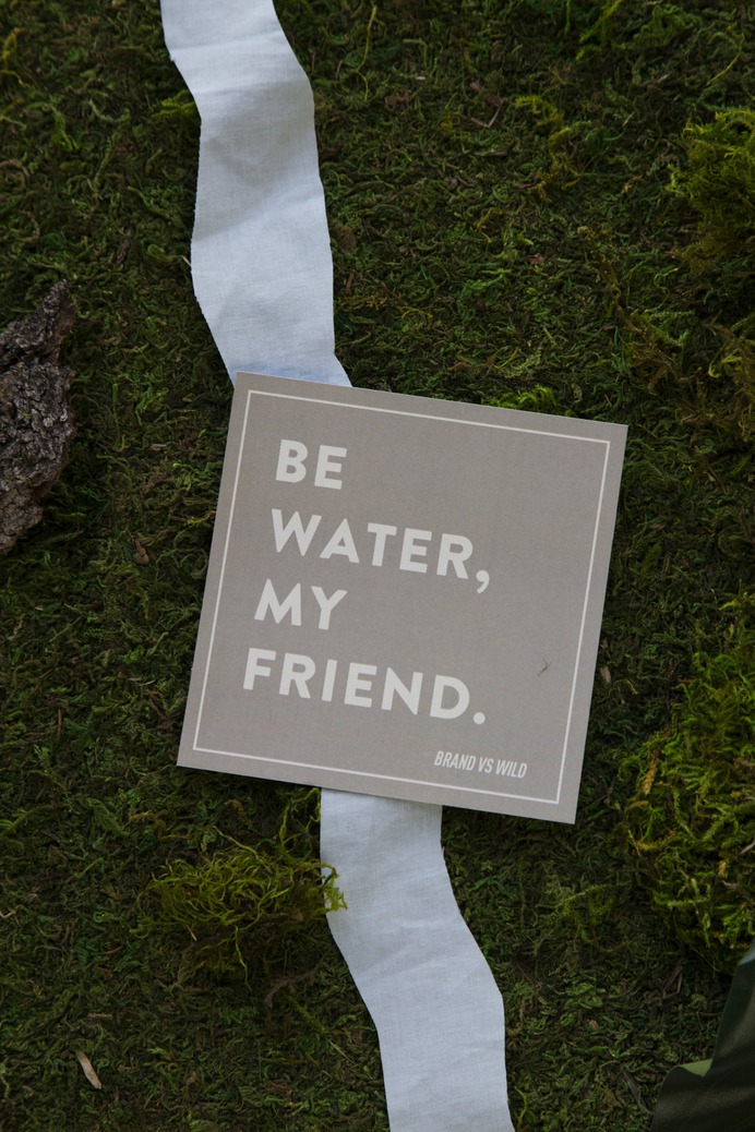 Be water in the wilderness | Image for Brand vs Wild, a survival guide for business by Jonathan David Lewis, VP of McKee Wallwork + Co. | Photographed and designed by Brittany Byrne