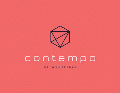 Contempo Homes on Behance