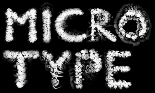 Micro type on Typography Served #type #micro
