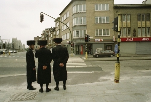 One Word One Photo by Vanja Bucan #photography
