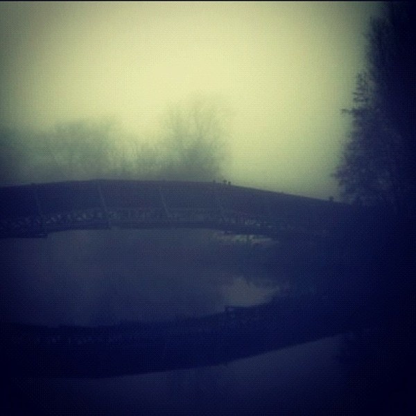 Misty #instagram #wood #photography #nature #beautiful #forest