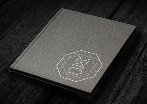 Welcome to the Skybox | Conceptual Design #identity