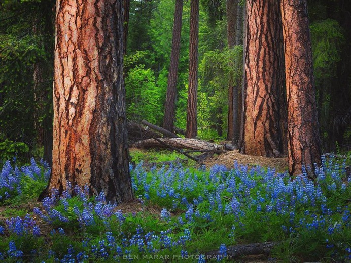 Magical Natural Landscape Photography by Ben Marar