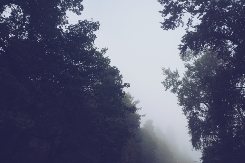 travishanour | VSCO