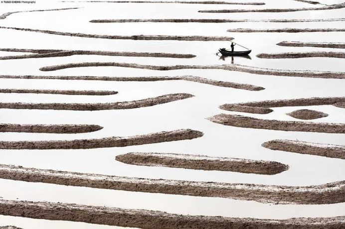Unknown China: Coastal Geometries of Bamboo Worlds by Tugo Cheng