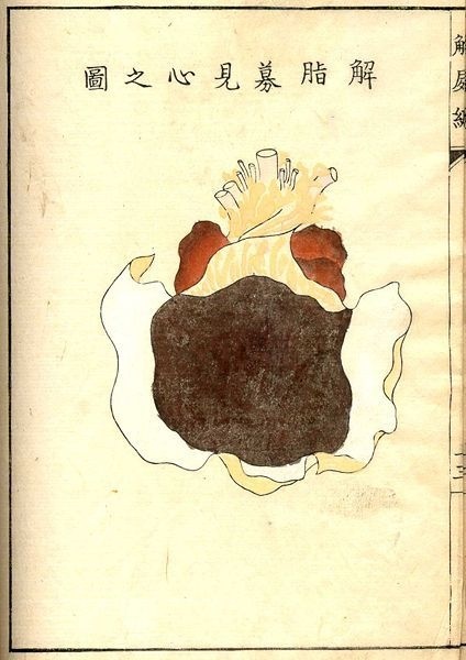 Kaishi Hen, an 18th Century Japanese anatomical atlas | The Public Domain Review #illustration #japan
