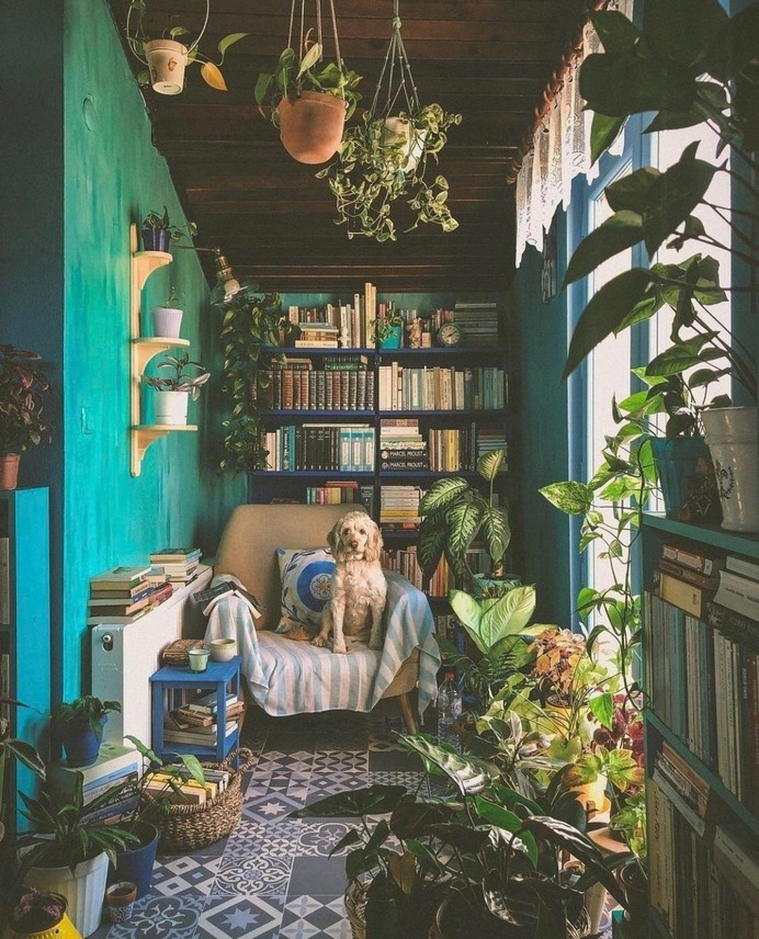 Cozy & Dog
