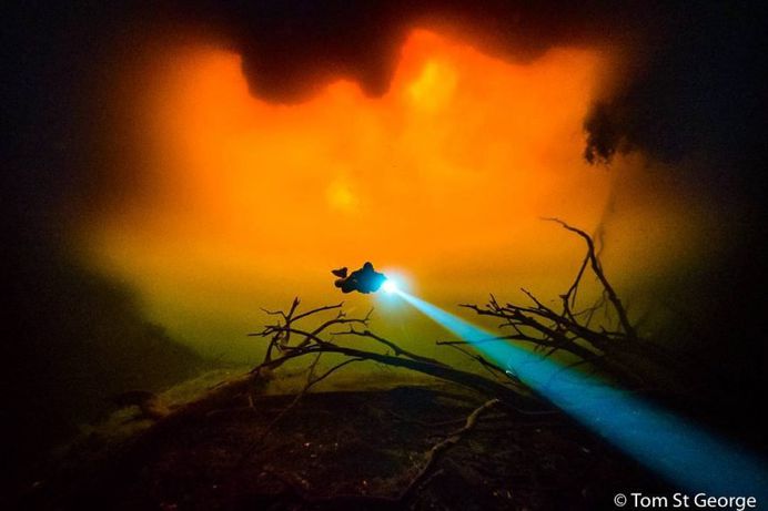 Incredible Underwater Photography by Tom St George