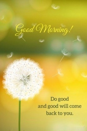 Best Good Morning Wallpaper Images 2019