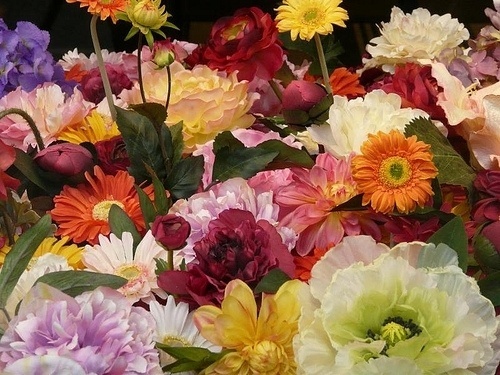 all*over*print #flower #paris