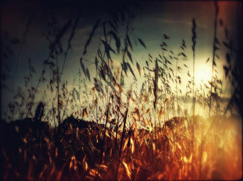 Double Exposure Photography: 50+ Examples and Tutorials #sun #photography #orange