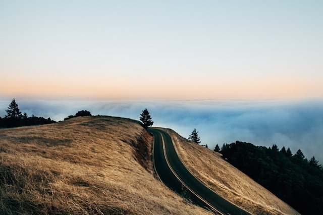 SamElkins00 #nature