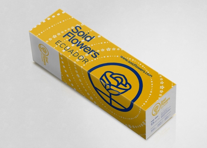 packaging, roses, flowers, box, identity, branding