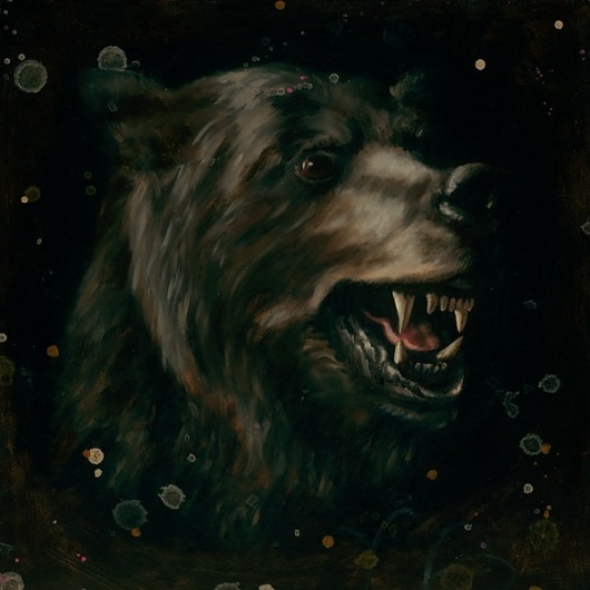 All sizes | Bear Study | Flickr - Photo Sharing! #drops #black #heiko #brown #bear #dark #mller