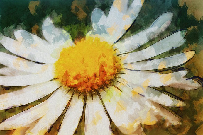 daisy painting & daisy paint by number #painting