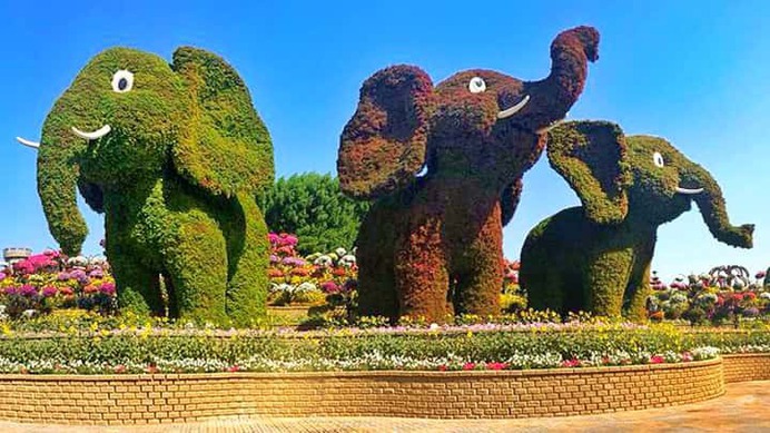 Baby Elephants Topiary Art is 30 feet tall and 10 feet wide. After season 7, in the next season they were scattered at various locations of the garden.