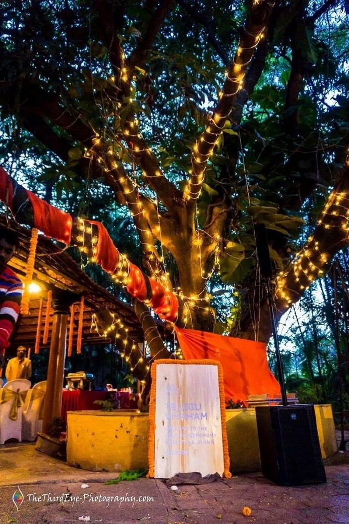 tree decoration for wedding