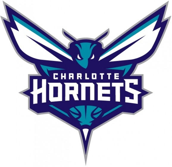 New Name, Logo, and Identity for the Charlotte Hornets #hornets #nba