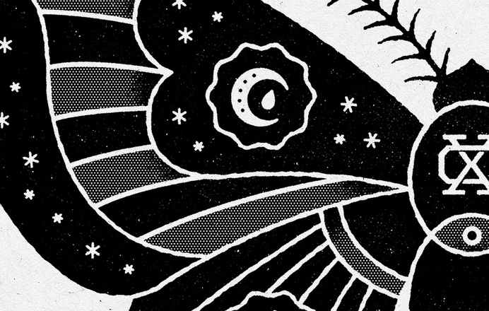 Moth_detail #moth #drawing #illustration
