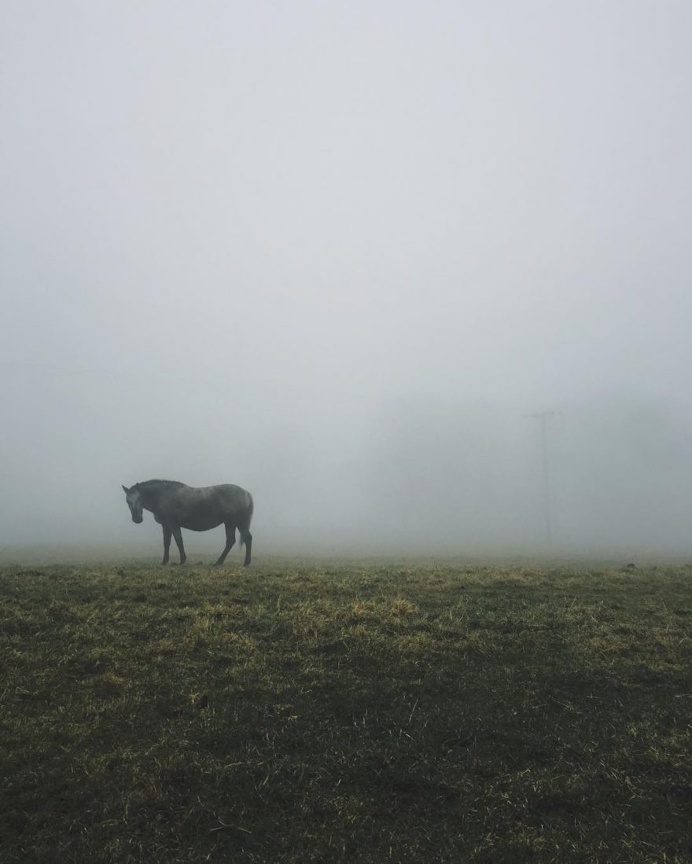 Beautiful iPhoneography by Sara Tasker
