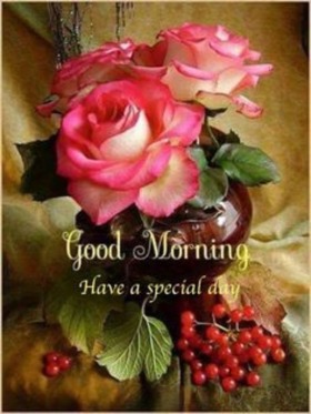 473 Best good morning photos by sonusunariya | HappyShappy