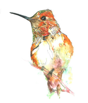 Birds in Birds