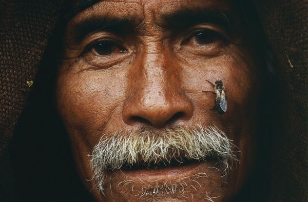 Eric Valli and the Incredible Honey Hunters #eric #photography #valli