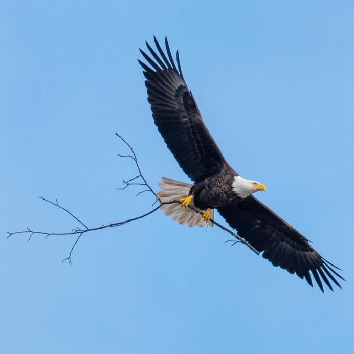 #birdfreaks: Striking Bird Photography by Adam Berry
