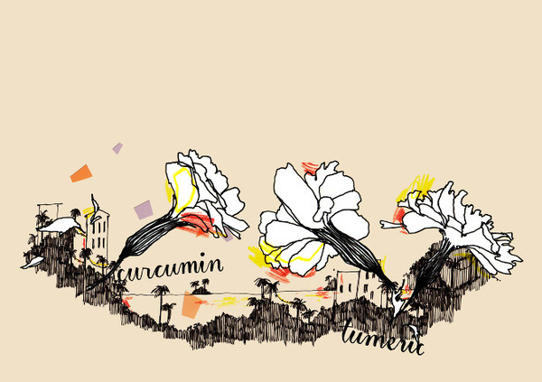 ❦ True Nature identity www.pepijnrooijens.com #illustration #identity