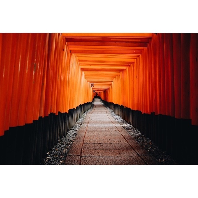 http://instagram.com/charlessabas The beautiful alley in Fushimi Inari #naturehippys #paisaje #landscape #paisagem #ic_landscapes #latergram #red #awesome_shots #京都 #日本 #landscapelover #instahub #epic #landscapelovers #fabscape #j #paysage #igcentric_nature #風景 #natur #landscapes #beautiful #landscapestyles_gf #insta_land