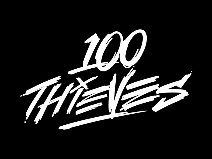 100 Thieves branding by Jared Mirabile