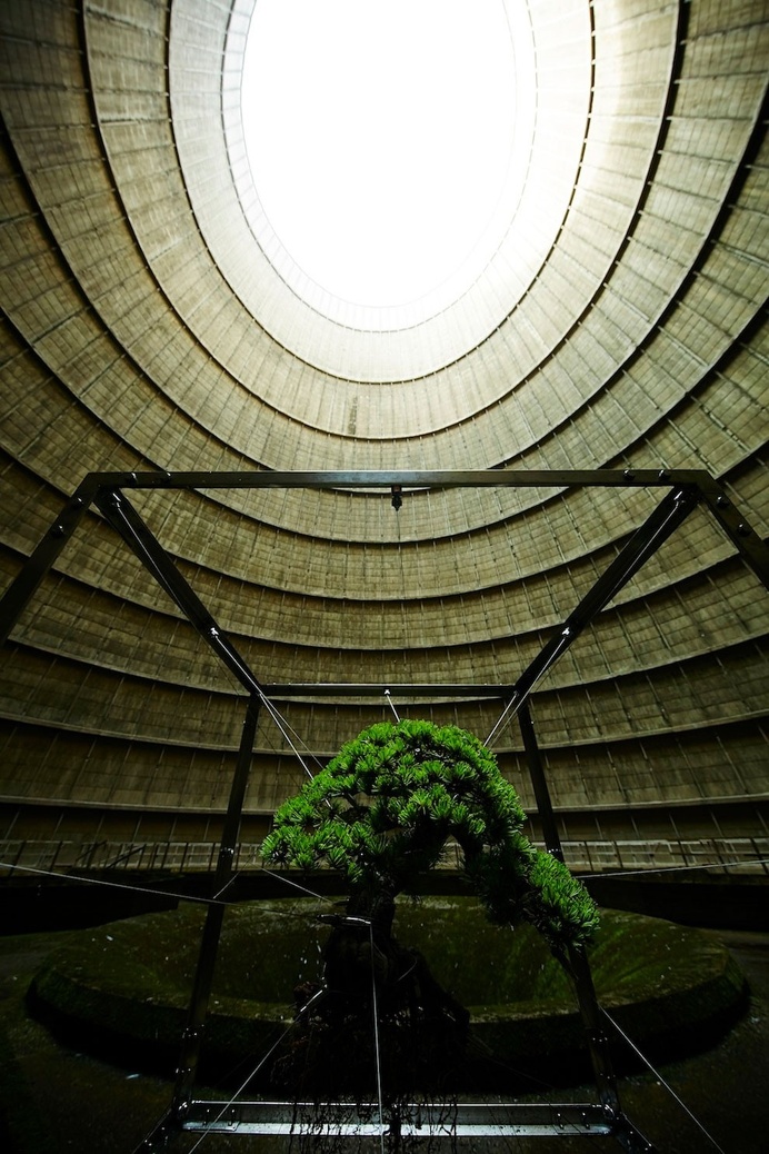 A Suspended Bonsai Inside an Abandoned Power Plant