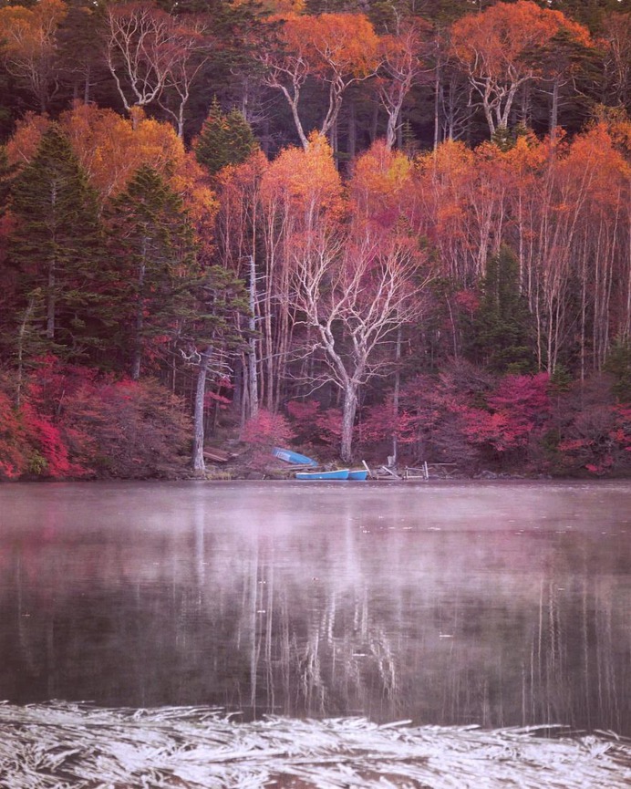 Amazing Nature Photography in Japan by Makiko Samejima
