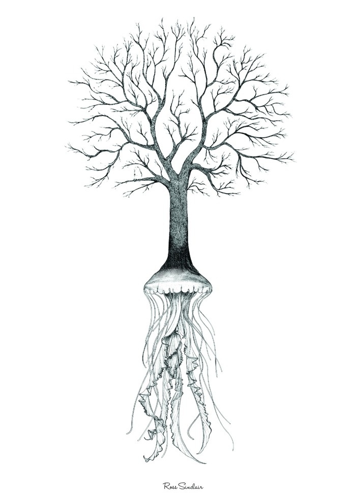 Jelly Tree #ink #white #tree #design #black #illustration #art #and #jelly #sketch