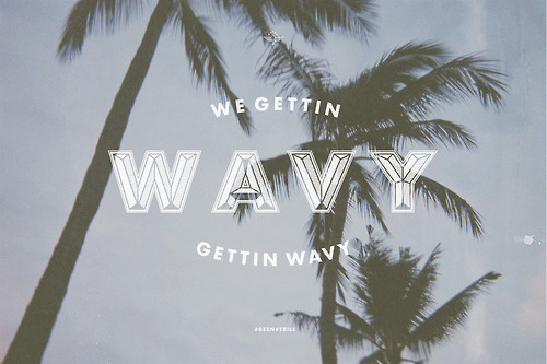 Wavy #palm #tree #design #type #wavy #typography