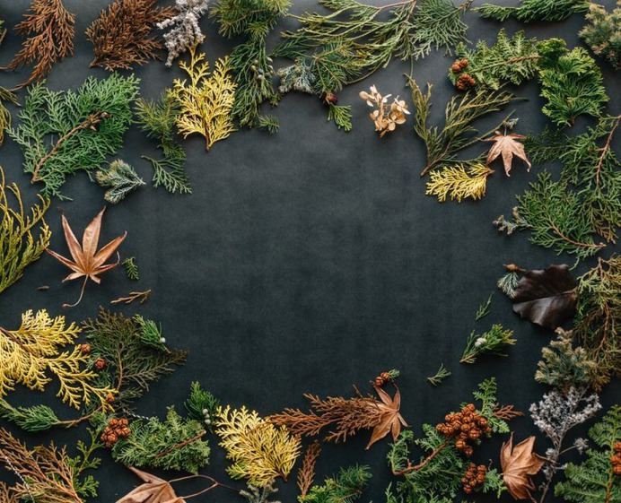 Fall Background