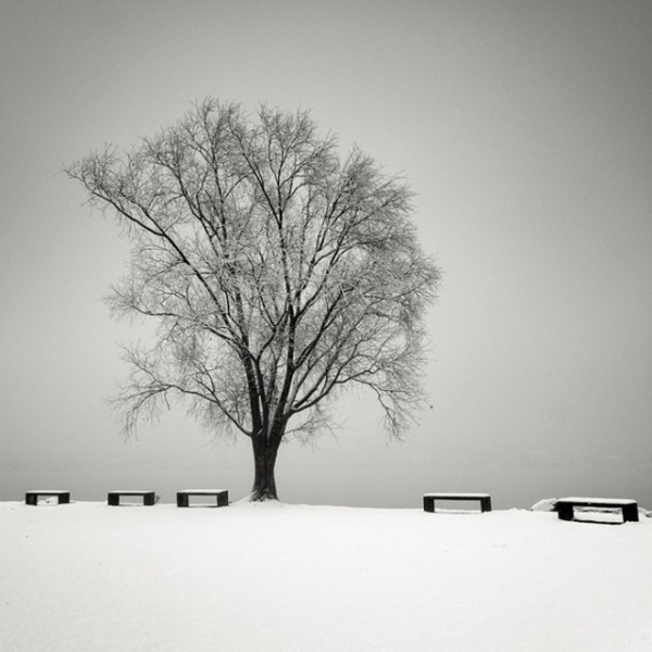 Black and White Landscapes by Pierre Pellegrini #white #black #landscape #photography #and