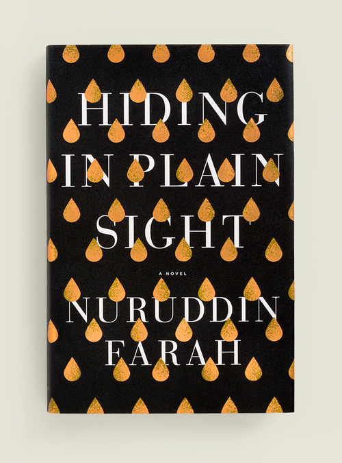 book cover janet hansen
