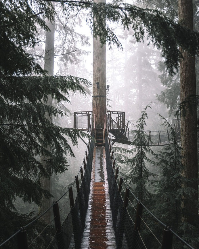 Suspension Bridge By trystane