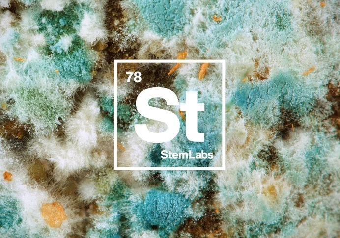 StemLabs #germs #ice #logo #square #materials #fire #medical #periodic #helvetica #physics #table #science